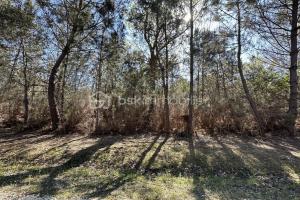 Picture of listing #329013418. Land for sale in Hourtin