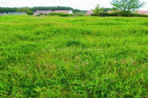 Picture of listing #329024576. Land for sale in Lillers