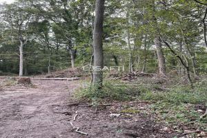 Picture of listing #329026062. Land for sale in Lamorlaye