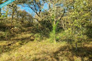 Picture of listing #329027462. Land for sale in Catus