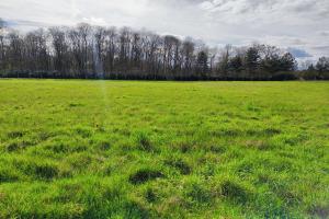 Picture of listing #329042567. Land for sale in Cloyes-sur-le-Loir