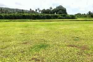 Picture of listing #329066571. Land for sale in Taravao