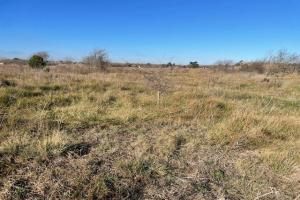 Picture of listing #329069244. Land for sale in Sérignan