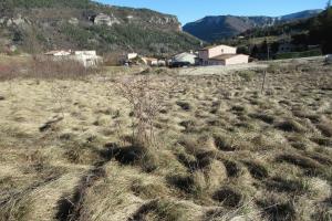 Picture of listing #329070990. Land for sale in Annot