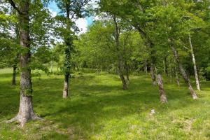 Picture of listing #329075827. Land for sale in Saint-Denis-Catus