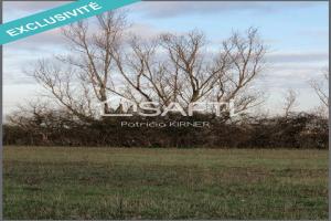 Picture of listing #329085144. Land for sale in Lisle-sur-Tarn