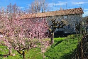 Photo de l'annonce nº 329099214. Maison à vendre sur Labastide-du-Vert