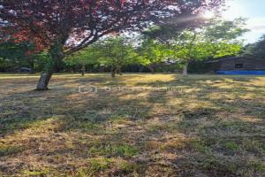 Picture of listing #329138286. Land for sale in Cangey