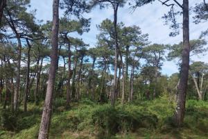 Picture of listing #329147896. Land for sale in Capbreton