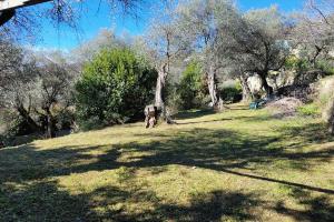 Picture of listing #329157314. Appartment for sale in Grasse
