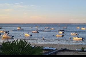 Picture of listing #329158626. Appartment for sale in Arcachon