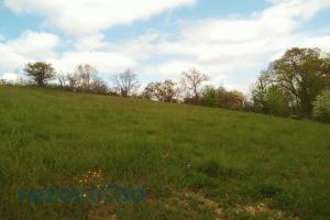 Thumbnail of property #329174067. Click for details