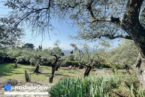 Picture of listing #329199878. Land for sale in Grasse