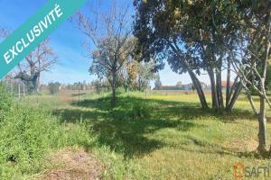 Picture of listing #329209437. Land for sale in Lagrave