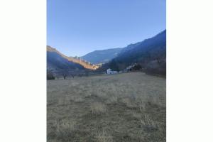Thumbnail of property #329210399. Click for details