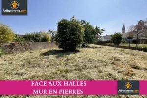 Picture of listing #329216925. Land for sale in Le Pellerin