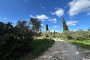 Picture of listing #329232628. Land for sale in Fontvieille