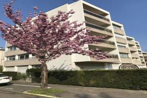 Picture of listing #329252257. Appartment for sale in Colmar
