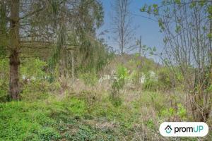Picture of listing #329267637. Land for sale in Catenoy