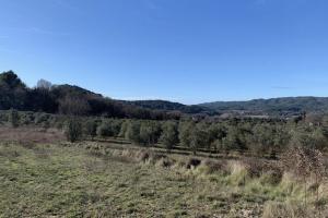 Picture of listing #329308721. Land for sale in Vaison-la-Romaine