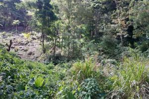Picture of listing #329365041. Land for sale in Pointe-Noire