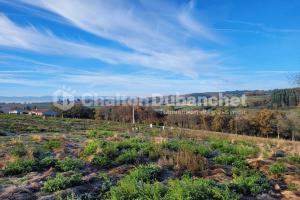 Picture of listing #329373889. Land for sale in Montchal
