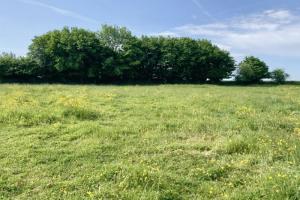 Picture of listing #329383485. Land for sale in Saulty