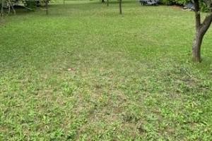 Picture of listing #329390094. Land for sale in Moisselles