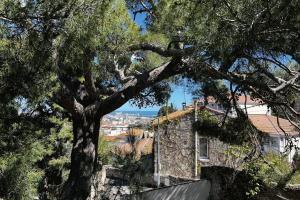 Picture of listing #329407973. House for sale in Sète