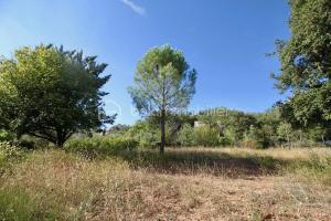 Picture of listing #329422810. Land for sale in Régusse