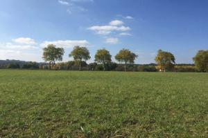 Picture of listing #329429167. Land for sale in Grazac