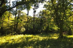 Picture of listing #329429531. Land for sale in Audenge