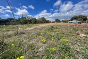 Picture of listing #329441803. Land for sale in Canet