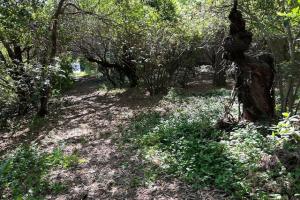 Picture of listing #329442012. Land for sale in Sète