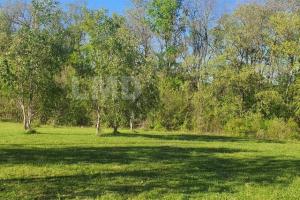 Picture of listing #329456769. Land for sale in Montdurausse