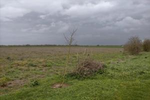 Photo de l'annonce nº 329513084. Terrain à vendre sur Loire-les-Marais