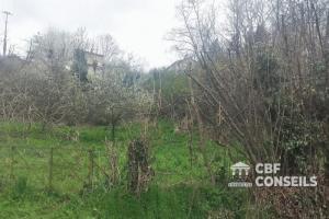 Picture of listing #329531440. Land for sale in Chanonat