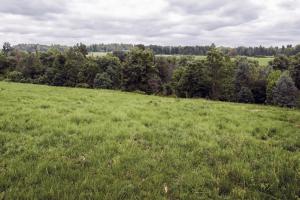 Picture of listing #329543150. Land for sale in Gueux