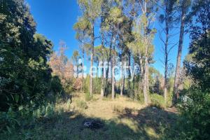 Picture of listing #329557788. Land for sale in Flayosc