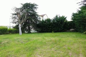 Thumbnail of property #329558105. Click for details