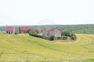 Photo de l'annonce nº 329559931. Maison à vendre sur Chevannes-Changy