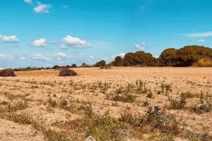 Picture of listing #329565315. Land for sale in Perpignan
