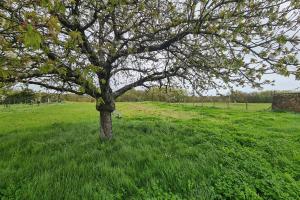 Photo de l'annonce nº 329593496. Terrain à vendre sur Lussant