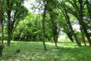 Picture of listing #329613349. Land for sale in Vence