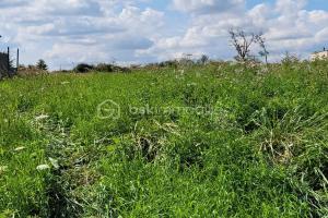 Picture of listing #329613613. Land for sale in Punchy