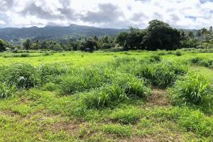 Picture of listing #329614192. Land for sale in Taravao