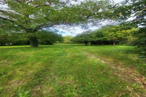 Picture of listing #329644314. Land for sale in Lachelle