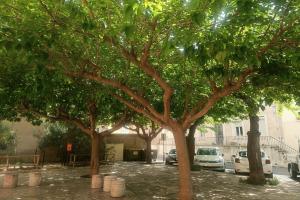 Picture of listing #329665415. Appartment for sale in Narbonne