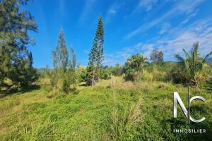 Picture of listing #329692960. Land for sale in Païta