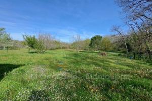 Photo de l'annonce nº 329694166. Terrain à vendre sur Saint-Étienne-de-Tulmont